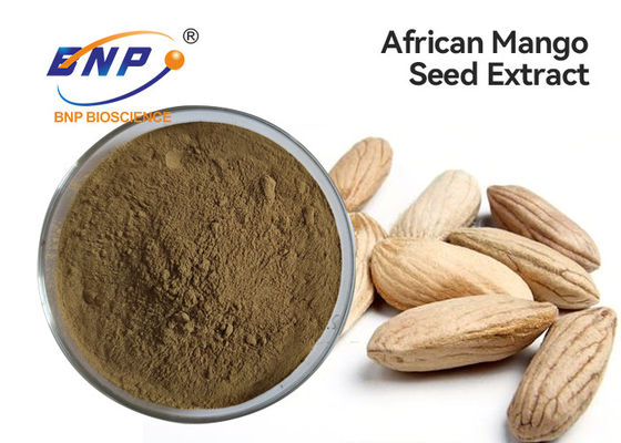 Flavones 10% Natural Plant Extracts Brown Yellow African Mango Seed Powder