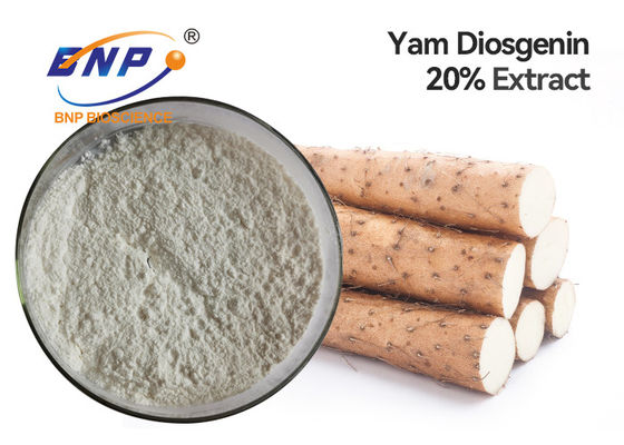 Diosgenin 6% Natural Plant Extracts Milk White Wild Yam Root Powder