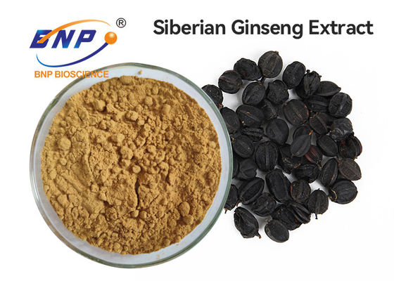 Free Sample Eleuthero Extract Siberian Ginseng Root Extract Powder