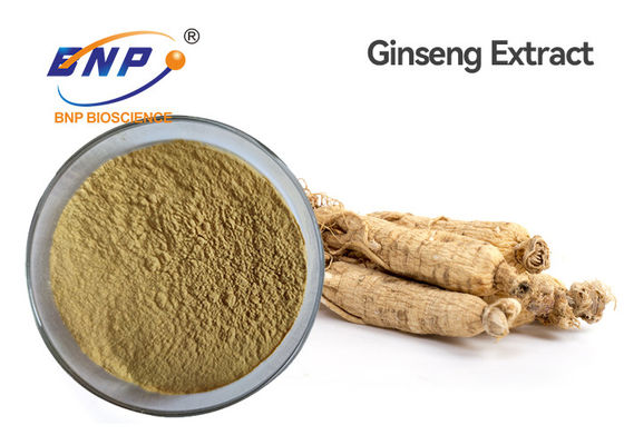 Panax Ginseng Ca Meyer Natural Plant Extracts Ginsenoside 5%