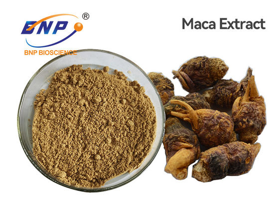 Lepidium Meyenii Natural Plant Extracts Light Brown Organic Maca Root Powder