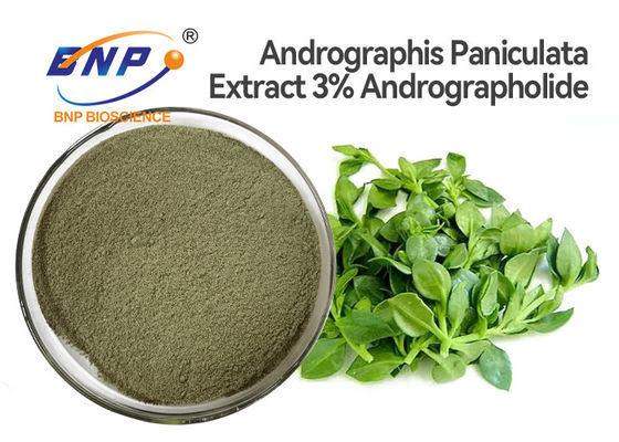 3% Andrographolide Natural Antiviral Supplements Andrographis Paniculata Leaf Extract Powder