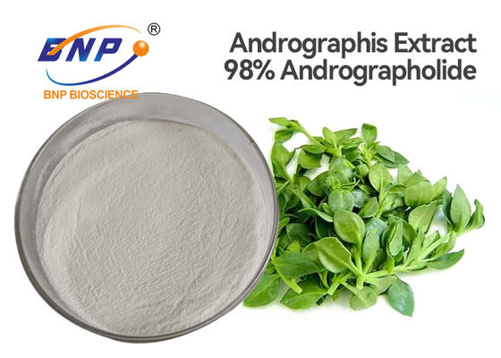 ISO Andrographis Paniculata Leaf Extract Powder 98% Andrographolide