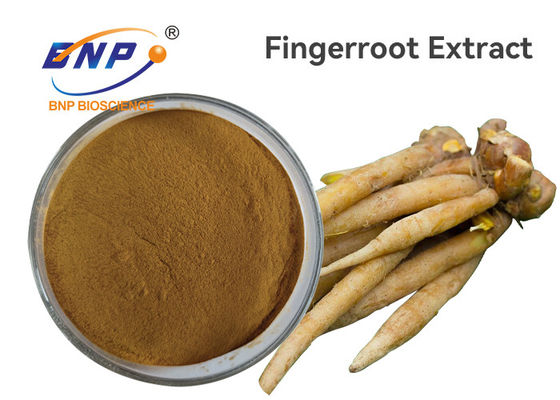 Flavone 5% Natural Plant Extracts Finger Root Brown Yellow Powder