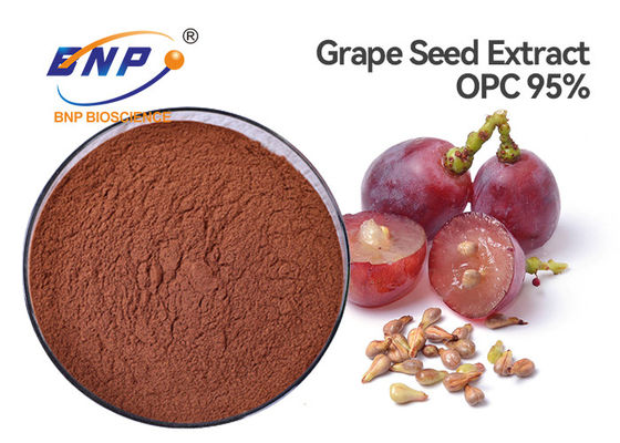HPLC Grape Skin Extract Powder Polyphenols 70% Sambucus Nigra L.