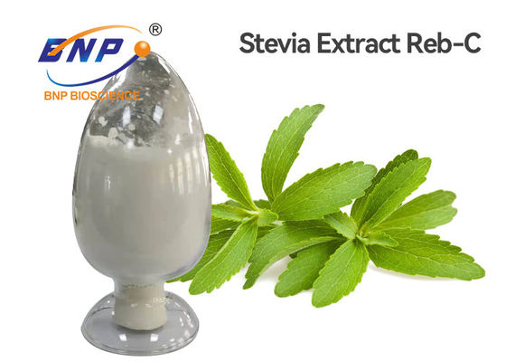 White Stevia Leaf Extract Powder RD 95% HPLC Test Food Additives