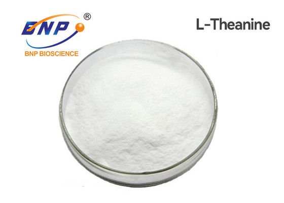 Weight Loss Nutraceuticals Supplements 99% Purity L Theanine Powder