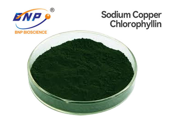 Dark Green Sodium Copper Chlorophyllin Powder