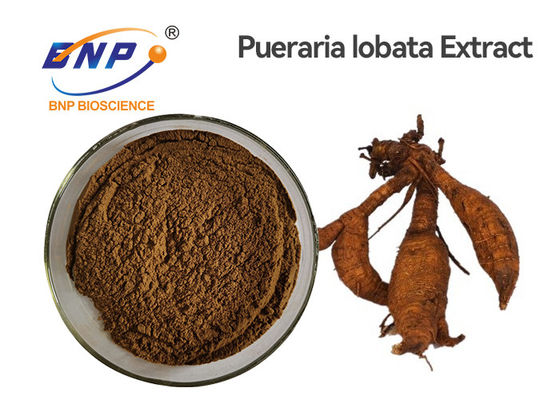 Kudzu Root Natural Plant Extracts Isoflavones 40% Brown Yellow Pueraria Lobata Powder