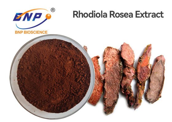 Anti-Aging Rhodiola Rosea Root Powder Rhodiola Crenulata Extract 3%