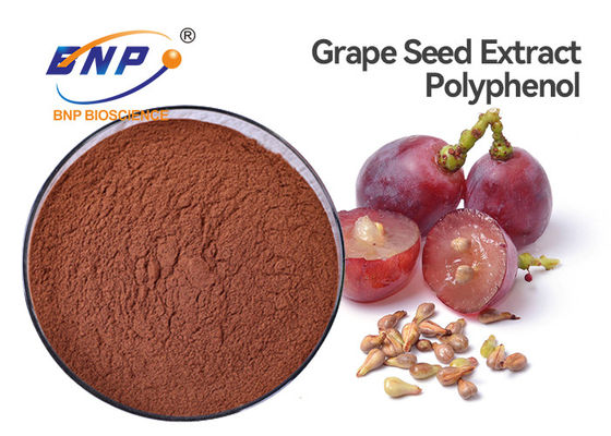 BRC Health Balance Grape Seed Extract Powder Bulk Polyphenol 60%