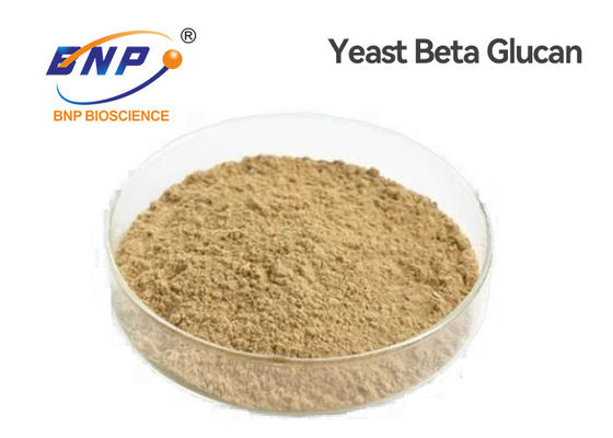 Natural Nutrients Light Yellow Yeast Beta Glucan 80% Polysaccharides Powder GMP