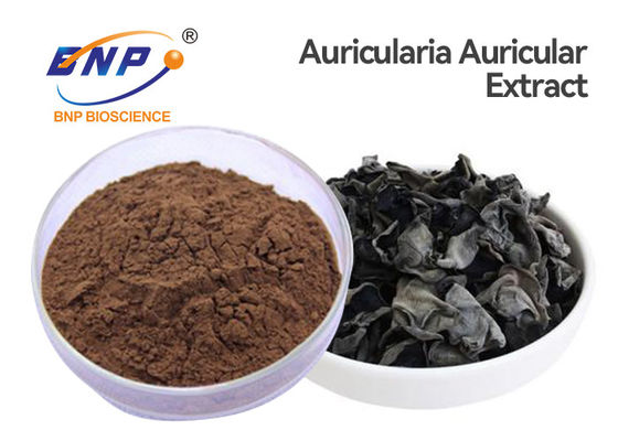 100% Natural Mushroom Extract Powder Jew's Ear Auricularia Auricula