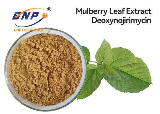 Health Supplements Natural 5% DNJ Mulberry Leaf Extract Deoxynojirimycin
