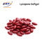 Pharmaceutical Contract Lycopene Softgel Lycopene Multivitamin And Multimineral Softgel