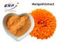 Marigold Extract Yellow Powder 10%~80% Lutein Colorant Food Additive Tagetes Erecta L.