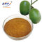 Natural Zero Calorie Sweetener , Arhat Fruit Extract 99% Mogroside