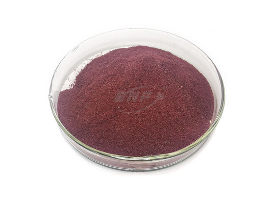 Elderberry Powder Juice Powder 20%Polysaccharide Plant Extract