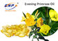 Natural Evening Primrose Extract Evening Primrose Oil Powder γ-Linolenic Acid