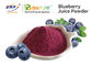 Food Grade Fruit Vegetable Powder Supplement Blueberry Juice Powder
