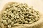 Green Coffee Bean Extract Chlorogenic Acid 50% Food Grade
