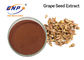 Dried Grape Seed Extract Vitis Vinifera Proanthocyanidins 95%