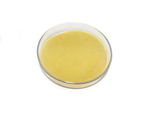 Silk Road Enterprise Fruit Vegetable Powder Supplement Ananas Comosus Pineapple Juice Powder