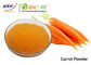 Dried Fruit Vegetable Powder Supplement Fine Organic Carrot Juice Powder