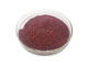 Purple Elderberry Juice Powder Food Grade Sambucus Nigra Fruit Extract