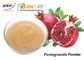 Light Pink Organic Pomegranate Juice Powder 40 Mesh Punica Granatum Fruit Extract