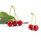 High Quality Anti-aging 17% Vitamin C Acerola Cherry Extract Powder
