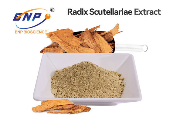 Natural Baicalin /Baicalin10%-90% From Silk Road Enterprise China