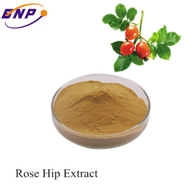 Best Price Supply Rose Hip Extract With Vitamin C /Polyphneol from Silk Road Enterprise factory