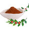 Butcher'S Broom Extract Total Ruscogenins Brown Yellow To Brown Powder