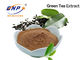 Green Tea Extract Tea Polyphenols 20%-98% Brown, white powder