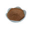 Green Tea Extract Tea Polyphenols 20%-98% Brown, white powder
