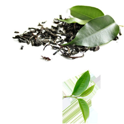 Green Tea Extract Tea Polyphenols 20%-98% Brown, white powder