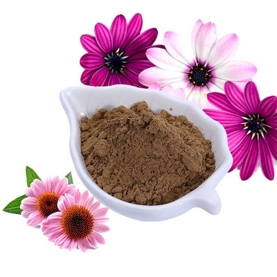 Echinacea Purpurea Extract Polyphenol 4% Food Grade