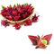 Roselle Extract Anthocyanins  Brown Red Powder