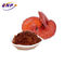 Pure Natural Reishi Mushroom Extract 10%-50% Polysaccharides 1%-10%Triterpene