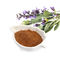 Manufacturer Supply Sage Extract Powder Clary Sage Extract