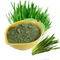 Green Fruit Vegetable Powder Supplement Triticum Aestivum Barley Grass Juice Powder