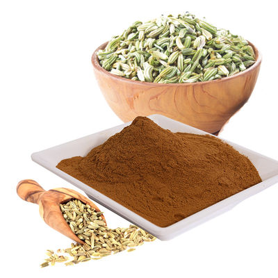 Fennel Extract Brown Yellow Powder Food Grade