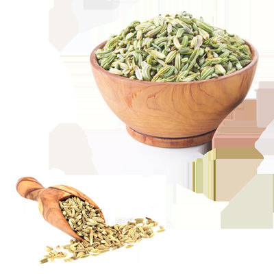 Fennel Extract Brown Yellow Powder Food Grade