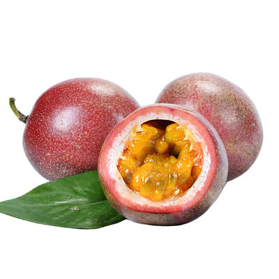 Passion Flower Extract Flavones 2%-6% Food Grade