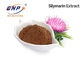30% Silybin 80% Silymarin Silymarin Extract Powder GMP Milk Thistle Extract For Liver