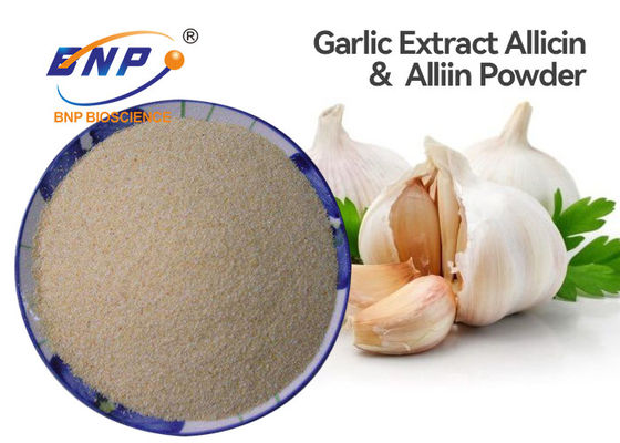 Antibiotic Food Grade Allium Sativum Extract White Powder Silk Road Enterprise Brand