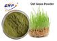 80 Mesh Fruit Vegetable Powder Supplement Avena Fatua Organic Oat Grass Juice Powder