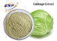 100% Purity Green Fine Kale Leaf Extract Juice Powder 80 Mesh