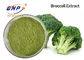 Light Green Organic Broccoli Sprout Powder Food Grade 80 Mesh
